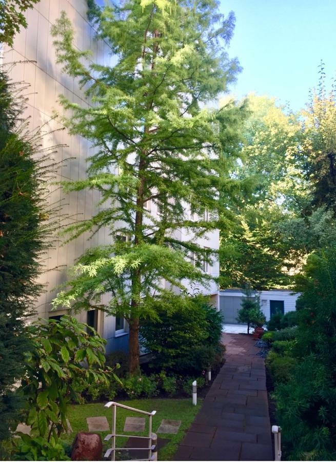 Centrum Im Gruenen Nuremberg